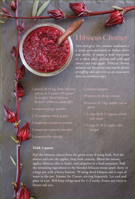 Flavonoid-Rich Hibiscus Chutney Hibiscus Flower Recipes, Hibiscus Recipes, Hibiscus Recipe, Dried Hibiscus Flowers, Nigerian Recipes, Chutney Recipe, Herbal Recipes, Christmas Menu, Chutney Recipes