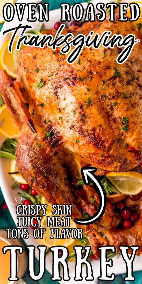 Turkey Dinner Recipes Thanksgiving, Roast Turkey Recipes Thanksgiving, Juicy Turkey Recipe, Easy Turkey Recipes Thanksgiving, Turkey Rub Recipes, Easy Thanksgiving Turkey, Perfect Roast Turkey, Whole Turkey Recipes, Easy Turkey Recipes