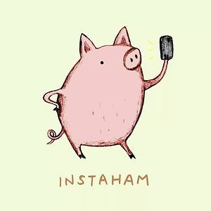 Animal Puns Punny Puns, Animal Puns, Cute Puns, Puns Jokes, Food Puns, Funny Illustration, E Card, Funny Puns, Art Plastique