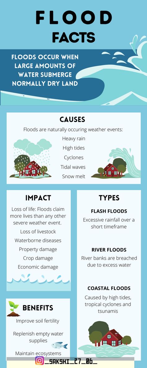 Fact File Aesthetic, Natural Disasters Project Cover Page, Natural Disasters Poster, Natural Disasters Project, Disaster Management Project, Natural Disasters Activities, Natural Disasters Floods, Personal Diary Writing Feelings, Flood Preparedness