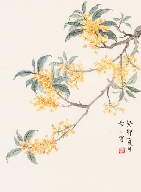 Chinese Floral Painting, Osmanthus Flower Tattoo, Chinese Tree Art, Osmanthus Tattoo, Chinese Flower Painting, Chinese Painting Traditional, Chinese Blossom, Osmanthus Flower, Chinese Tree