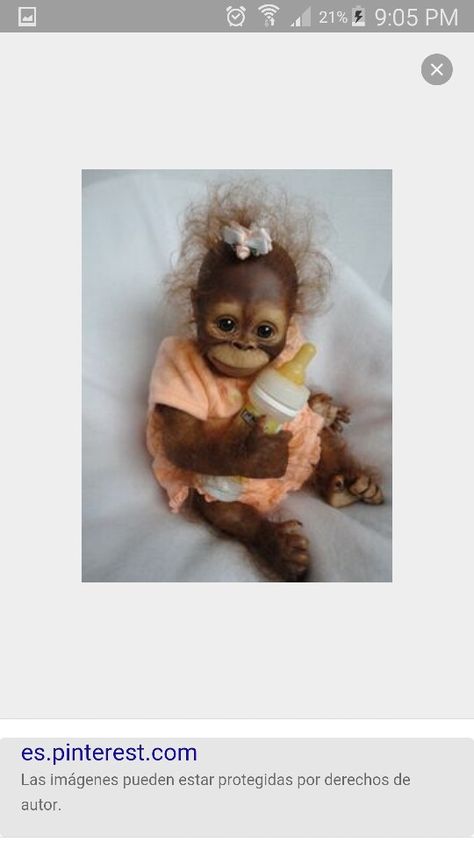 Baby Orangutan, Monkey Doll, Monkeys Funny, Cute Monkey, Cute Animals Images, Baby Animals Funny, Baby Monkey, Cute Animal Pictures