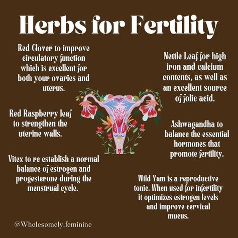 Herbs For Womb Healing, Herbs For Wellness, Herbs For Lubrication, Herbs To Boost Fertility, Herbs For Feminine Health, Vitex For Fertility, Herbs For Ovaries, Herbs To Help Get Pregnant, Herbs For Fertility Witchcraft