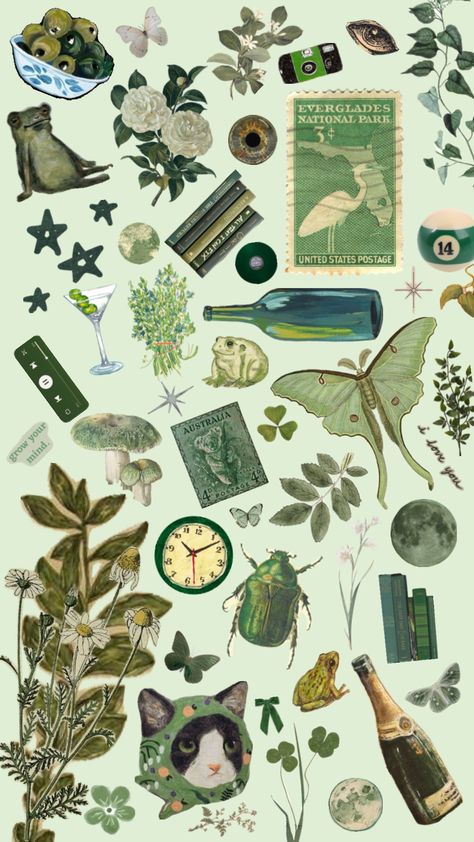 #green #frogs #nature #wallpaper Green Frogs, Green Sheets, Scrapbook Printing, Dark Green Aesthetic, Green Sticker, Nature Stickers, Scrapbook Stickers Printable, English Art, Collage Background