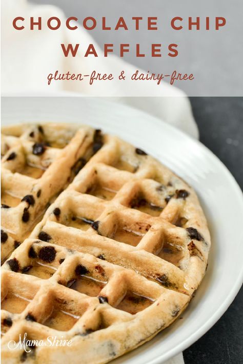 These gluten-free chocolate chip Belgian waffles are easy and delicious! Perfect for breakfast or as a treat. Also Dairy-Free! #dairyfreewaffles #glutenfreewaffles #chocolatechipwaffles #glutenfreechocolatechipwaffles #glutenfreebreakfast Dairy Free Waffles, Chocolate Chip Waffles, Waffle Maker Recipes, Waffles Easy, Gluten Free Waffles, Frozen Waffles, Dairy Free Chocolate Chips, Dairy Free Breakfasts, Gluten Free Chocolate Chip