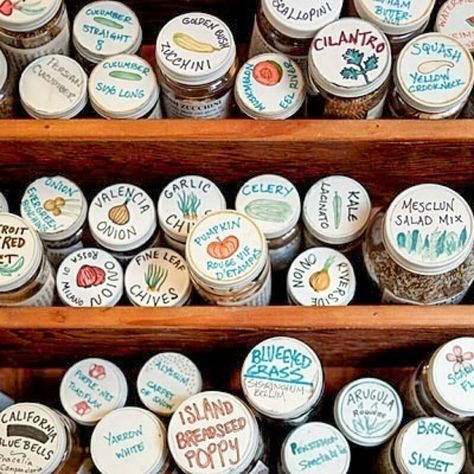 Old Pill Bottles, Seed Organization, Reuse Pill Bottles, Medicine Bottle Crafts, Pill Bottle Crafts, Bottle Projects, Rainbow Crayons, Seed Storage, Halloween Potion Bottles