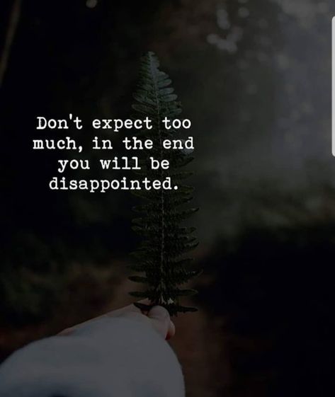 Dont Expect Quotes, Expectation Hurts, Relationship Quotes Breakup, Don't Expect Too Much, Self Reflection Quotes, Expectation Quotes, Dont Expect Too Much, Value Quotes, Distance Love Quotes