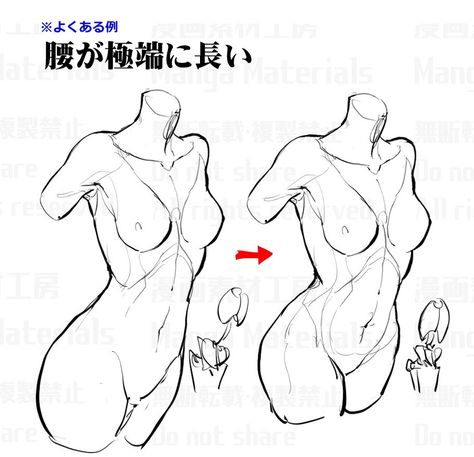 Manga Materials, Female Anatomy Reference, Anatomy Tutorial, Human Anatomy Drawing, Body Drawing Tutorial, Manga Drawing Tutorials, Human Anatomy Art, Anatomy Sketches, 캐릭터 드로잉