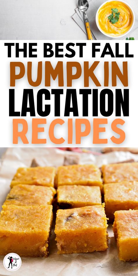 Fall Lactation Recipes, Snacks To Help Milk Supply, Pumpkin Lactation Balls, Recipes To Increase Breastmilk, Up Milk Supply Fast, Food To Help Breastmilk Supply, Pumpkin Lactation Recipes, Foods For Breastmilk Milk Supply, Power Pumping To Increase Milk Supply