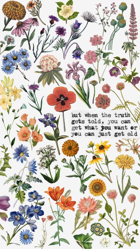 You can get what you want, or you can just get old. #vienna #billyjoel #lyrics #florwers #floral #vintage #illustration Vienna Billy Joel Print, Vienna Poster Billy Joel, Vienna Billy Joel Wallpaper, Vienna Wallpaper, Vienna Lyrics, June Journal, Vienna Aesthetic, Vienna Billy Joel, Vienna Waits For You