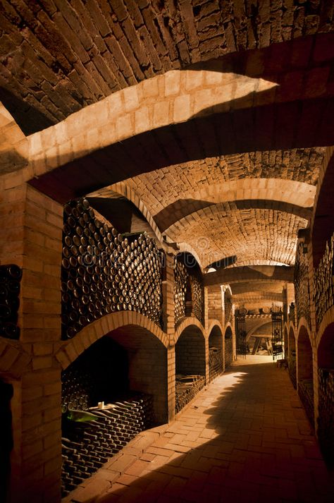 Cave Vin, Wineries Architecture, Tiny Castle, Wine Cellar Basement, Wine Cave, Home Wine Cellars, Dream Mansion, Cellar Design, Victorian Mansions