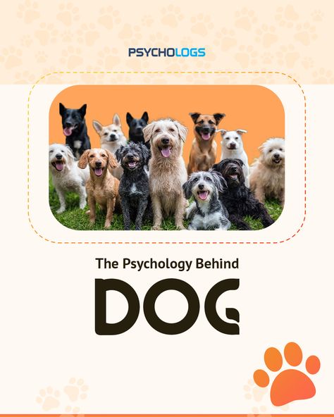 Have you ever opened a packet of chips, and your dog, sleeping two rooms away, stares at you and slowly approaches you with their puppy eyes to have a bite? Cute, right? Dogs display multiple such behaviours and try to communicate in their manner. Hence, this is called Dog Psychology.


#dogs #doglover #puppy #dogspsychology #dogbehavior #pavlovsdog #classicalconditioning #bfskinner #boredom #pet #petlovers #petparent #emotionalintelligence #happiness #learning #empathy #loyal Dogs Behavior Meaning, Best Book On Human Psychology, Dog Psychology, A Dogs Purpose Book, Human Behavior Psychology Books, Abnormal Psychology Pdf, Puppy Eyes, Dog Behavior, Pet Parent