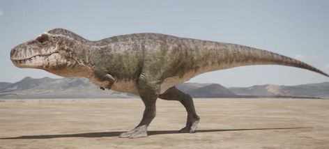 David Willis on Twitter: "It’s really insane that a bipedal predatory animal larger than an elephant used to exist. Like if I described a Tyrannosaurus rex to someone from the Middle Ages, they’d think I was making it up. https://t.co/ii2imxVZ1e" / Twitter Prehistoric Planet, Star Wars Fanfiction, Dinosaur Movie, Real Dinosaur, Prehistoric Wildlife, Dinosaur Images, Zombie Disney, Ancient Animals, Prehistoric Art