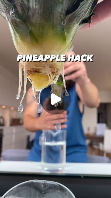 Armen Adamjan on Instagram: "How to grow a new pineapple with a pineapple you bought at the store! 🤯🌱🍍
.
.
.
.
#lifehacks #diy #howto #kitchenhacks #recycle #upcycle #hacks #creativeexplained #pineapple" Growing Pineapple In A Pot, How To Store Pineapple In Fridge, How To Grow A Pineapple From The Top, How To Regrow Pineapple, Upcycle Hacks, Desert Gardening, Growing Pineapple, Pineapple Planting, Plant Tips