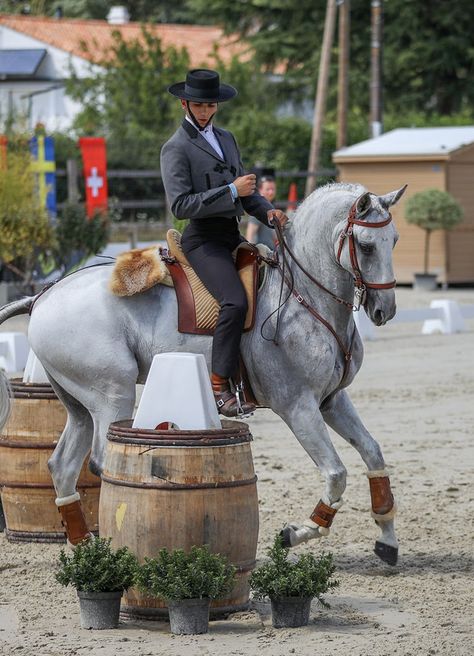 Portugal renews its title of Working Equitation World Champions – both by teams and individual! Working Equitation, Horse Jumping Olympics, Horse Riding Instructor, Team Penning Horses, Dressage Tests, Working Equitation Obstacles, Olympic Equestrian, Lusitano Horse, National Heroes