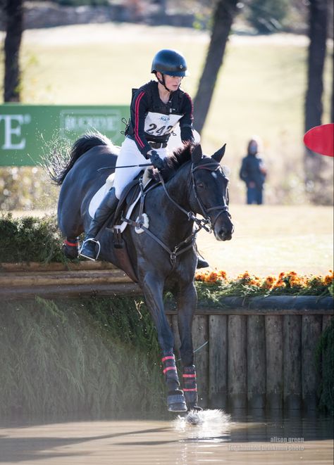 horse jumping off drop in to water Tryon International Equestrian Center, Equestrian Cross Country, Cross Country Horses, Cross Country Horse Riding, Eventing Cross Country, Cross County, Cross Country Jumps, Horse Shop, Equestrian Aesthetic