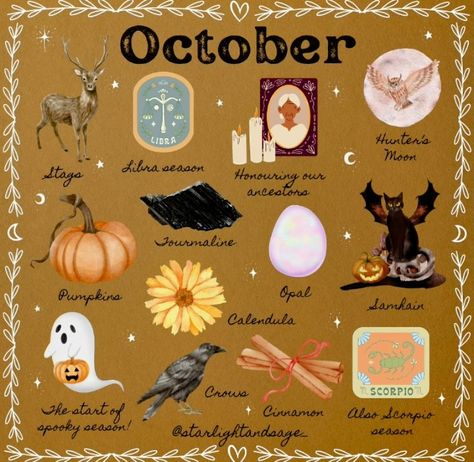 Samhain Symbols, Seasonal Witchcraft, Samhain Witchcraft, Witchy October, Witch Holidays, Busy Drawing, Magickal Correspondences, Fall Core, Blessed Samhain