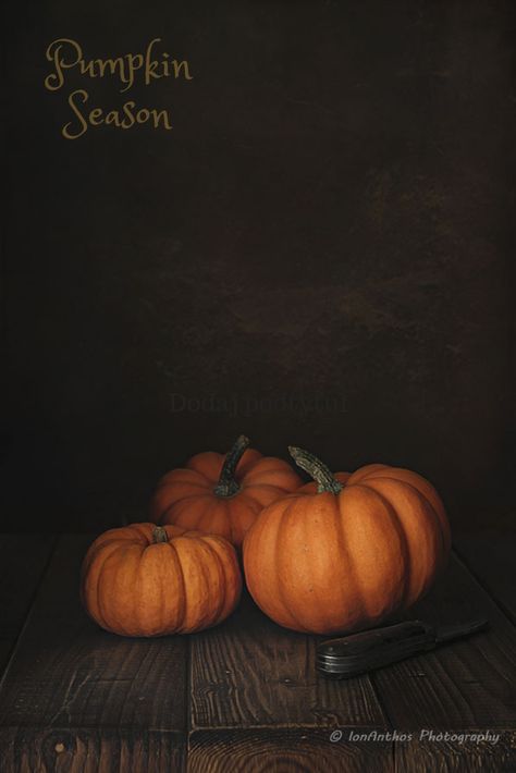 Fall Still Life Photography, Pumpkin Reference Photo, Pumpkin Pictures Autumn, Pumpkins Photography, Pumpkin Picture, Pumpkin Photography, Large Gallery Wall, Pumpkin Pictures, Pumpkin Photos