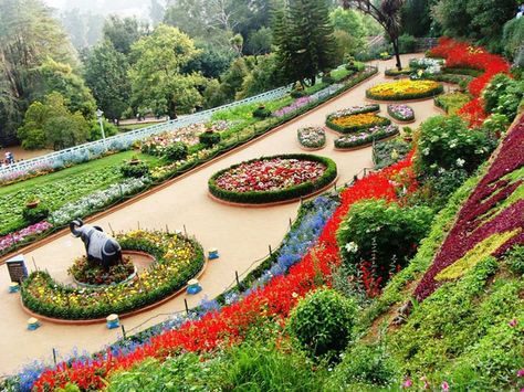 Chandigarh Tourism and Travel Guide, Adventure Activities in Chandigarh, Near By Attractions in Chandigarh Holiday Destinations In India, India Holidays, Jardin Des Tuileries, Ooty, Most Beautiful Gardens, Honeymoon Packages, Better Homes And Garden, India Tour, Backyard Inspo