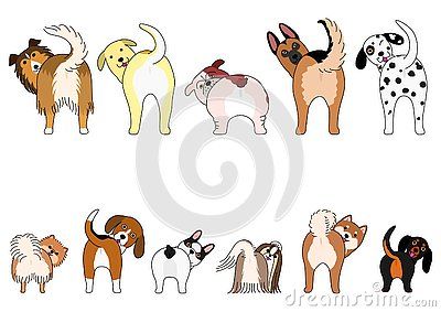 Set of funny dogs showing their butts, small dogs and Large dogs in two rows. Dog From Behind Drawing, Funny Dog Drawings, Funny Dog Drawing, Dogs Doodle, Dog Corner, Logo Animal, Doodle Books, Dog Quilts, Dog Icon