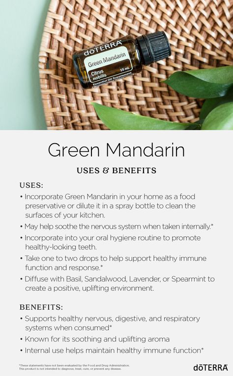 Sweet, slightly floral-scented Green Mandarin essential oil is unique among citrus oils because of its benefits and uses. Green Mandarin is cold-pressed from the peel of the unripened fruit of the mandarin tree. The fully ripe fruit is the mandarin orange, and it’s exceptionally sweet among citrus fruits. Mandarin Tree, Essential Oil Beauty, Mandarin Essential Oil, Doterra Oil, Doterra Diffuser Blends, Essential Oil Education, Essential Oils 101, Doterra Business, Aromatherapy Recipes