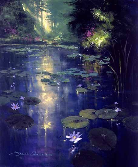 Soft Light and Lily Pads ~ James Coleman James Coleman, Water Lilies, Lily Pads, Soft Light, Lily, Trees, Water, Twitter, Pins