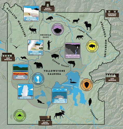 Explore this interactive map to learn more about just what can be found within the park. Select an illustration or word on the map to learn more. Yellowstone Map, Yellowstone National Park Vacation, Yellowstone Vacation, Yellowstone Trip, Visit Yellowstone, West Yellowstone, Yellowstone Park, National Parks Map, Tourist Map