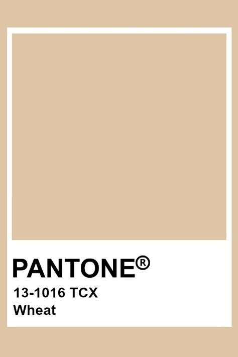 PMS 13-1016 TCX / Wheat / #dec5a5 Hex Color Code The hexadecimal color code #dec5a5 is a light shade of brown. - Encycolorpedia Brown Pantone Shades, Shades Of Brown Pantone, Light Brown Colour Palette, Light Brown Pantone, Pantone Brown Shades, Brown Pantone Color, Wheat Color Palette, Light Brown Color Palette, Tan Pantone