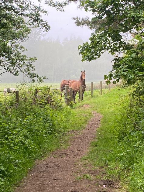 Countryside walk :) Country Walk Aesthetic, Identity Moodboard, Cowboy Cabin, Countryside Walks, Countryside Scenery, Country Walks, 2024 Aesthetic, British Country, Dream Future