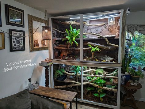 Make sure to check us out on Instagram for naturalistic and bioactive inspo. Nature inspired snake care! Vivarium For Snakes, Diy Snake Enclosure, Snake Tanks, Snake Habitat, Snake Care, Pet Enclosures, Diy Snake, Gecko Habitat, Snake Terrarium