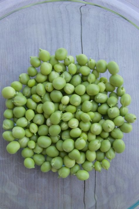 Shelling Peas Recipe, Fresh English Peas Recipe, English Peas Recipe, Fresh Pea Recipes, How To Cook Peas, Fresh Peas, English Peas, Homegrown Food, Csa Recipes