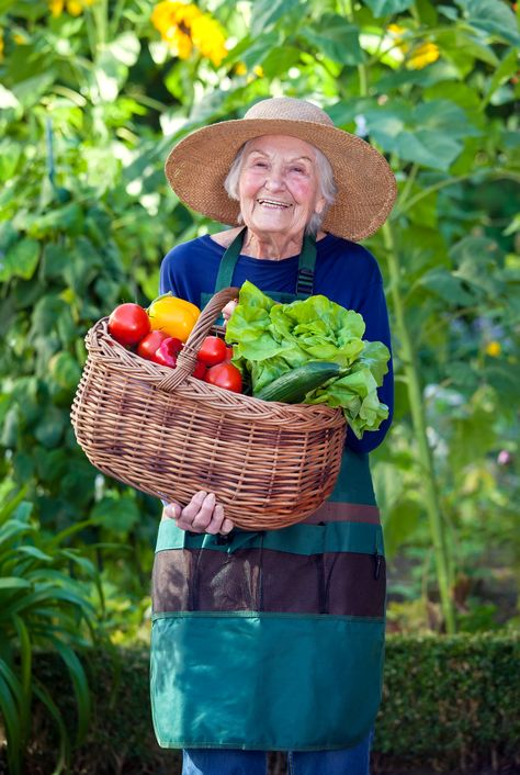 Lasagna Gardening, Farm Photos, New Rochelle, Senior Care, Elderly Care, Dynamic Poses, Nursing Home, Story Book, 인물 사진