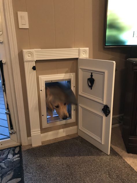 Pet Cabinet Ideas, In Wall Dog Door, Dog Door Ideas In Wall, Doggie Door Ideas, Dog Nook Ideas, Dog Spaces In House, Dog Door Ideas, Dog Areas In House, Diy Cat House