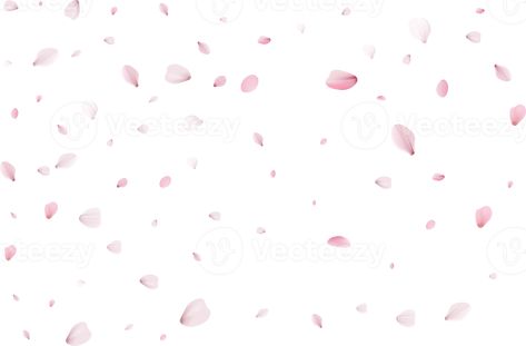 Sakura Petals, Pink Sakura, Free Png, The Pink, Png Images, Vector Free, Royalty, Royalty Free, Clip Art