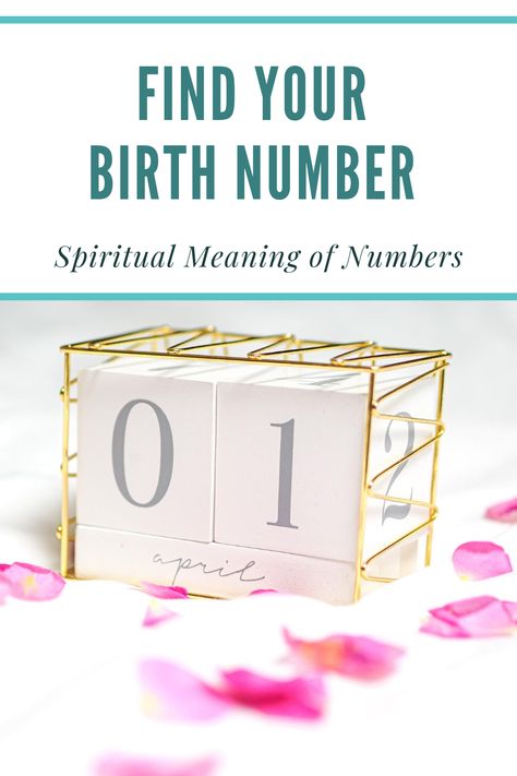 If you're a spiritual person, you've probably heard that numbers have spiritual meaning. 💫Learn how to calculate your master number based on your birthday, and get a personal spiritual message for your number. It works for names, too! So fun!✨ Life Path Number 10, Your Birthday Your, Spiritual Person, Inspirational Blogs, Life Path Number, 29th Birthday, Number Meanings, Spiritual Messages, Birthday Numbers