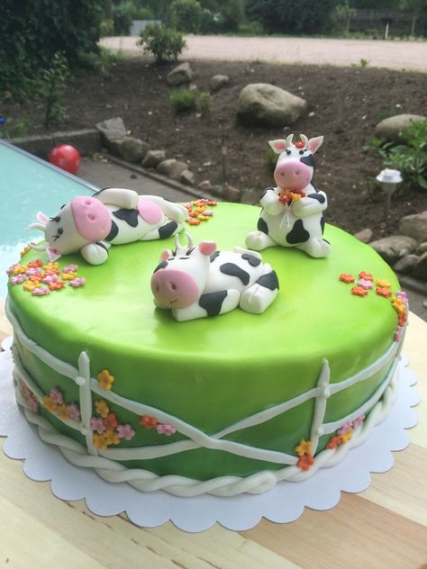 Small Cow Cake, Cow Cake Birthday, Cow Cake Ideas, Farming Cake, Cake Cow, Cow Print Cakes, Cow Birthday Cake, Cow Cake, Cow Birthday Parties