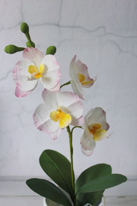 This is a step by step instruction of how to make realistic looking moth orchid by paper Crepe Paper Craft, Paper Moth, Orchid Pattern, Moth Orchid, Phalaenopsis Orchid, Make Paper, Paper Flower Tutorial, Paper Material, Tutorial Diy