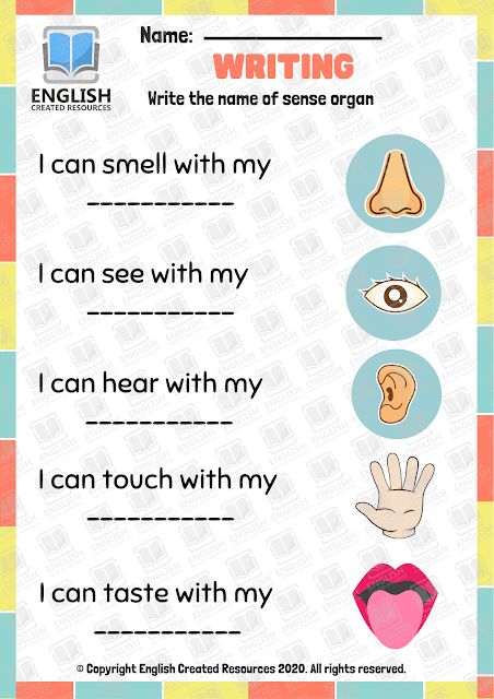 The Five Senses Worksheets 5 Senses Worksheet, Five Senses Worksheet, Nursery Worksheets, Senses Preschool, Materi Bahasa Inggris, English Worksheets For Kindergarten, Grammar For Kids, مشروعات العلوم, Kindergarten Reading Activities