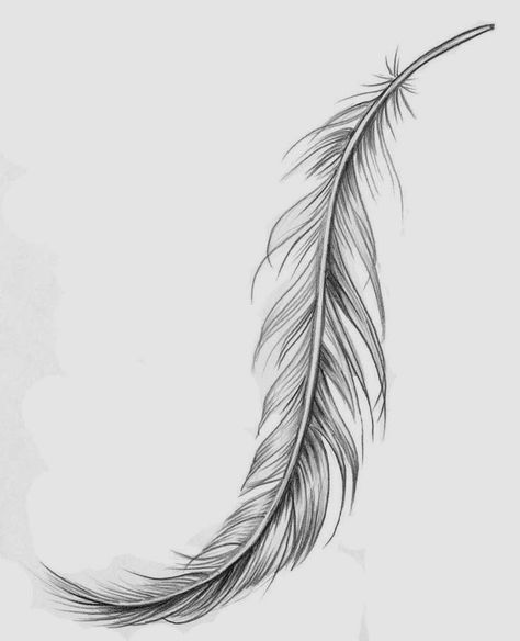 Feather Tattoo Designs Feather Tat, Eagle Feather Tattoos, Feather Tattoo Meaning, Feather Drawing, Feather Tattoo Design, Feather Tattoo, Feather Tattoos, Trendy Tattoos, Skin Art