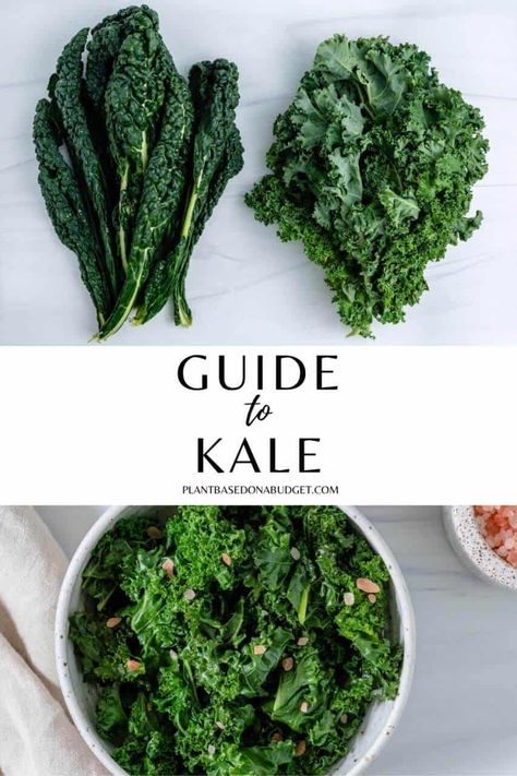 Types Of Kale, Kale Vegetable, Kale Plant, Curly Kale, How To Cook Kale, Vegan Guide, Vegan Salad Recipes, Veggie Pasta, Kale Recipes