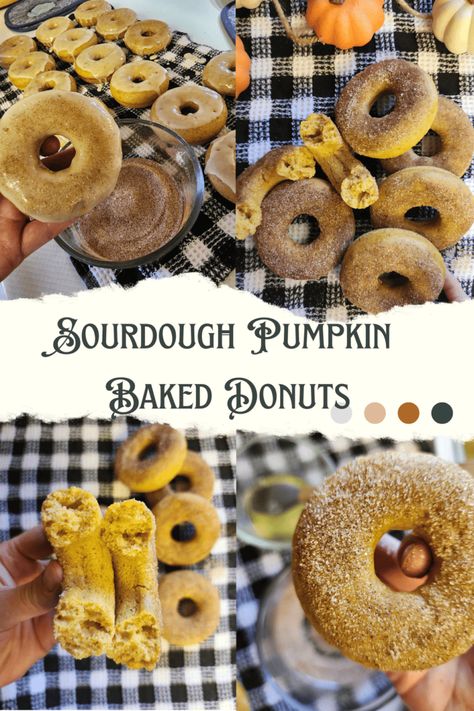 Sourdough Baked Pumpkin Donuts - The Proverbs Kitchen Pumpkin Donuts Baked, Pumpkin Sourdough, Sourdough Pumpkin, Pumpkin Donuts Recipe, Pumpkin Donut, Fried Donuts, Bread Starter, Donut Recipe, Pumpkin Spice Syrup