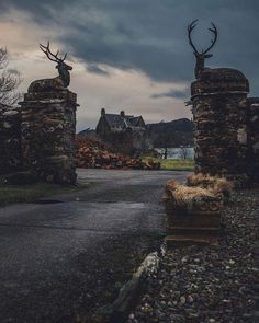 Clan Macdougall, Duntrune Castle, Clan Campbell, Deer Heads, Castles In Scotland, Scotland Castles, Scottish Castles, 12th Century, Most Beautiful Places