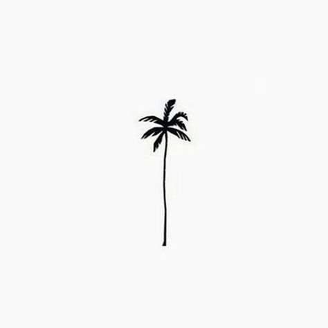 Tropical Tattoo, Palm Tattoos, Palm Tree Tattoo, Tattoo Illustration, Instagram Logo, Tree Tattoo, S Tattoo, Minimal Tattoo, Instagram Highlight Icons