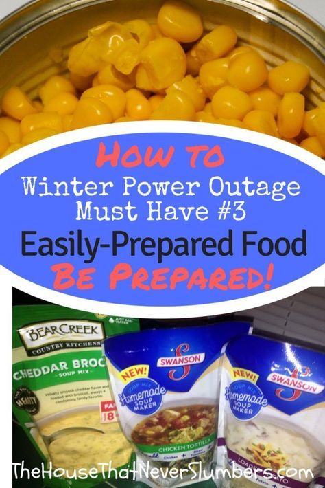 Winter Storm Preparedness - Easily-Prepared Power Outage Foods - We're still in the middle of winter, folks. I'm sure you'll want to pick up some of these convenient power outage foods on your next grocery trip. A power outage doesn't stop your family's n Winter Power Outage, Winter Storm Preparedness, Winter Preparedness, Storm Preparedness, Storm Prep, Power Outage Tips, Emergency Preparedness Food, Soup Maker, Low Carb Appetizers