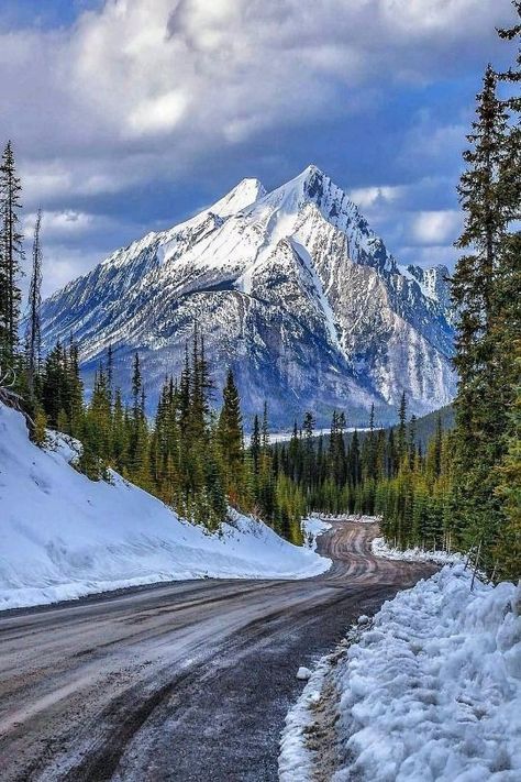 Winter Photo, Winter Scenery, Alberta Canada, Winter Photography, Winter Landscape, Mountain Landscape, Winter Scenes, Amazing Nature, Nature Pictures