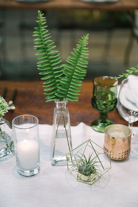 Dining Table Flowers, Cheap Wedding Table Centerpieces, Centerpiece For Dining Table, Fern Wedding, Jungle Wedding, Plant Maintenance, Wedding Help, Unique Wedding Flowers, Wedding Floral Centerpieces