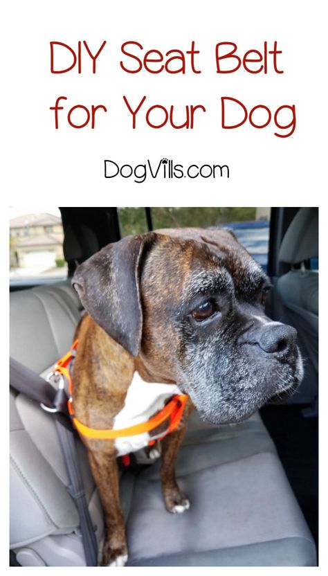 Keep your pooch safer during car rides with our clever and simple DIY dog seat belt! Check it out! Dog Car Seat Belt, Dogs Diy Projects, Puppy Obedience Training, Dog Seat Belt, Dog Behavior Training, Positive Dog Training, Basic Dog Training, House Training Dogs, Dog Seat