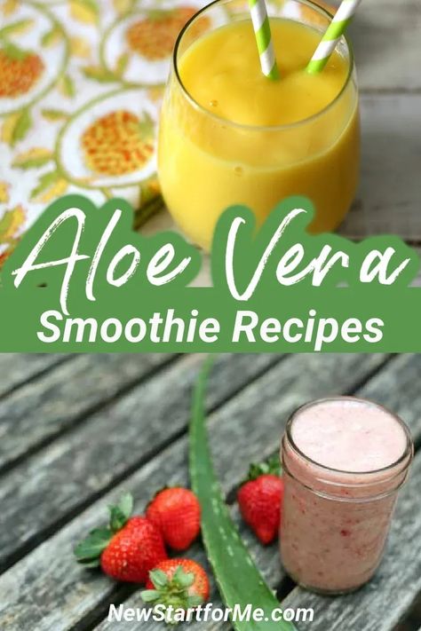 There are smoothie recipes with aloe vera that could help you get all of the health benefits from the plant with the added flavors of a smoothie. Aloe Vera Smoothie, Aloe Vera Juice Recipes, Aloe Vera Recipes, Aloe Vera Uses, Antioxidant Smoothie, Aloe Vera Drink, Healthy Nutrition Plan, Cooking Homemade, Nutrition Food