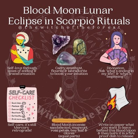 Lunar Eclipse Ritual, Blood Moon Rituals, Eclipse Ritual, Blood Moon Lunar Eclipse, Blood Moon Eclipse, Paganism Spells, Which Witch, Wiccan Magic, Lunar Eclipse