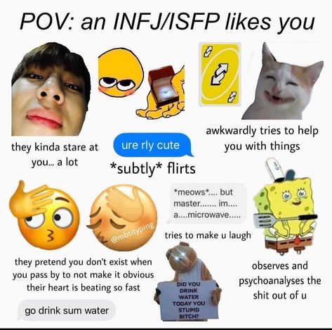 Isfp Relationships, Personalidad Infj, Infj Type, Infj Personality Type, Mbti Relationships, Myers Briggs Personality Types, Infj T, Mbti Character, Infj Personality